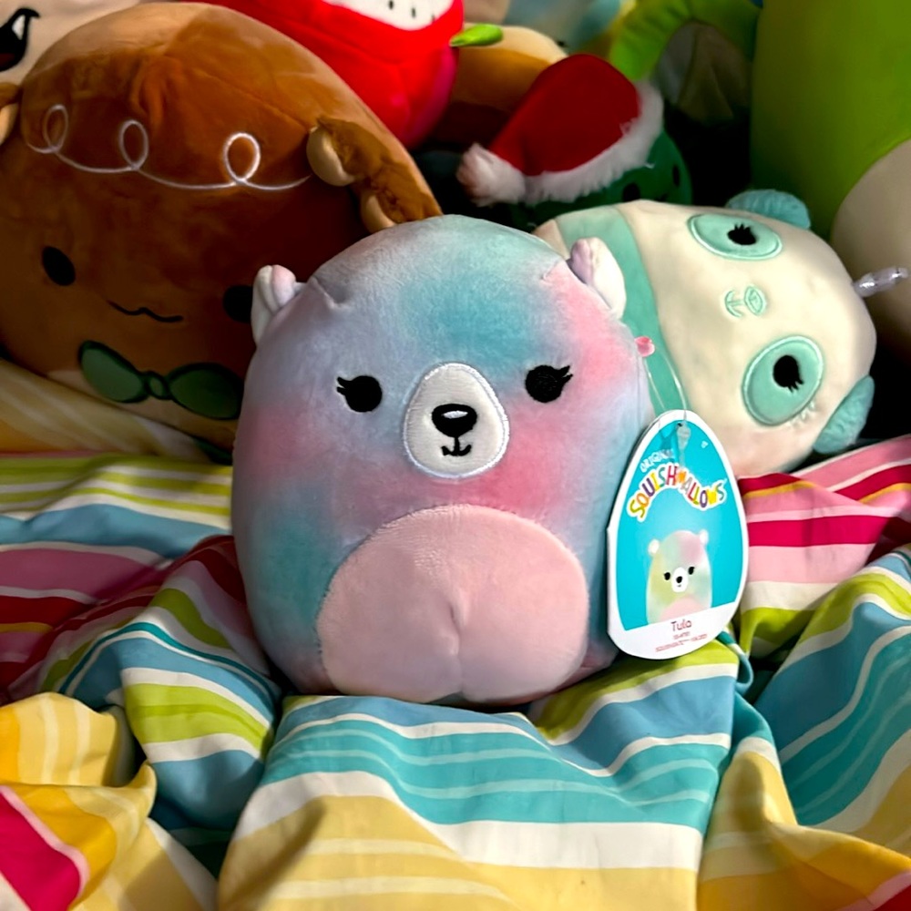 🐻‍❄️🍭𝕋𝕦𝕝𝕒🍭🐻‍❄️
